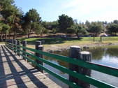 Enlarge photo 55