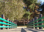 Enlarge photo 58