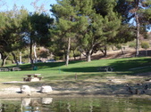 Enlarge photo 59
