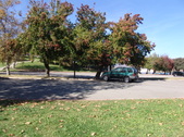 Enlarge photo 25
