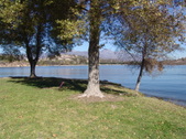 Enlarge photo 38