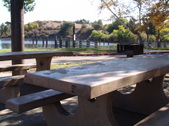 Enlarge photo 56