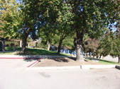 Enlarge photo 61