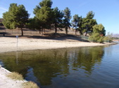 Enlarge photo 31