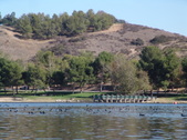 Enlarge photo 35