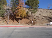 Enlarge photo 1
