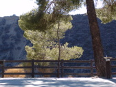 Enlarge photo 70