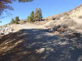 Enlarge photo 103