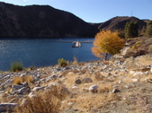 Enlarge photo 125