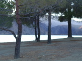 Enlarge photo 37