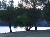 Enlarge photo 38