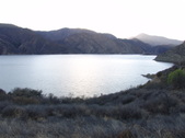 Enlarge photo 41