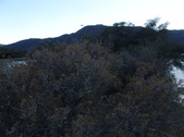 Enlarge photo 41