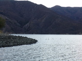 Enlarge photo 57