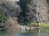 Enlarge photo 30