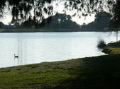 Enlarge photo 35