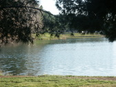 Enlarge photo 36