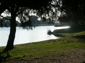 Enlarge photo 37