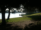 Enlarge photo 38