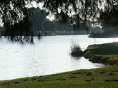 Enlarge photo 39
