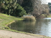Enlarge photo 41