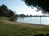 Enlarge photo 42