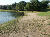 Enlarge photo 45