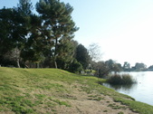 Enlarge photo 46