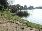 Enlarge photo 48