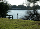 Enlarge photo 49
