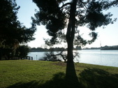 Enlarge photo 50
