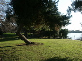 Enlarge photo 52