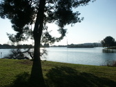 Enlarge photo 53