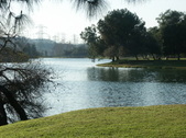Enlarge photo 56
