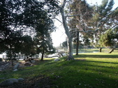 Enlarge photo 58