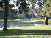 Enlarge photo 59