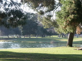 Enlarge photo 60