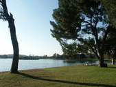 Enlarge photo 61