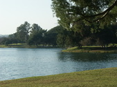 Enlarge photo 62