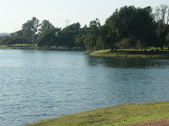 Enlarge photo 63