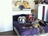 Enlarge photo 52