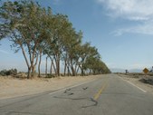 110TH ST EAST, SOUTH OF AVENUE I