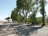 Enlarge photo 22