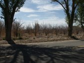 Enlarge photo 25