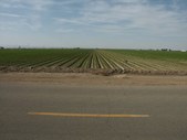 AVENUE I, EAST OF 110TH ST EAST