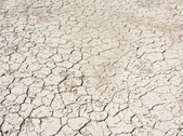 Enlarge photo 38