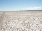Enlarge photo 73