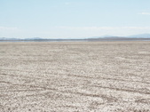 Enlarge photo 93