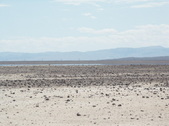 Enlarge photo 105