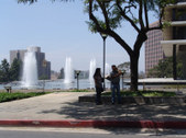 Enlarge photo 42
